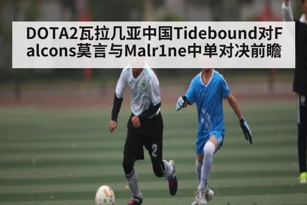 DOTA2瓦拉几亚中国Tidebound对Falcons莫言与Malr1ne中单对决前瞻
